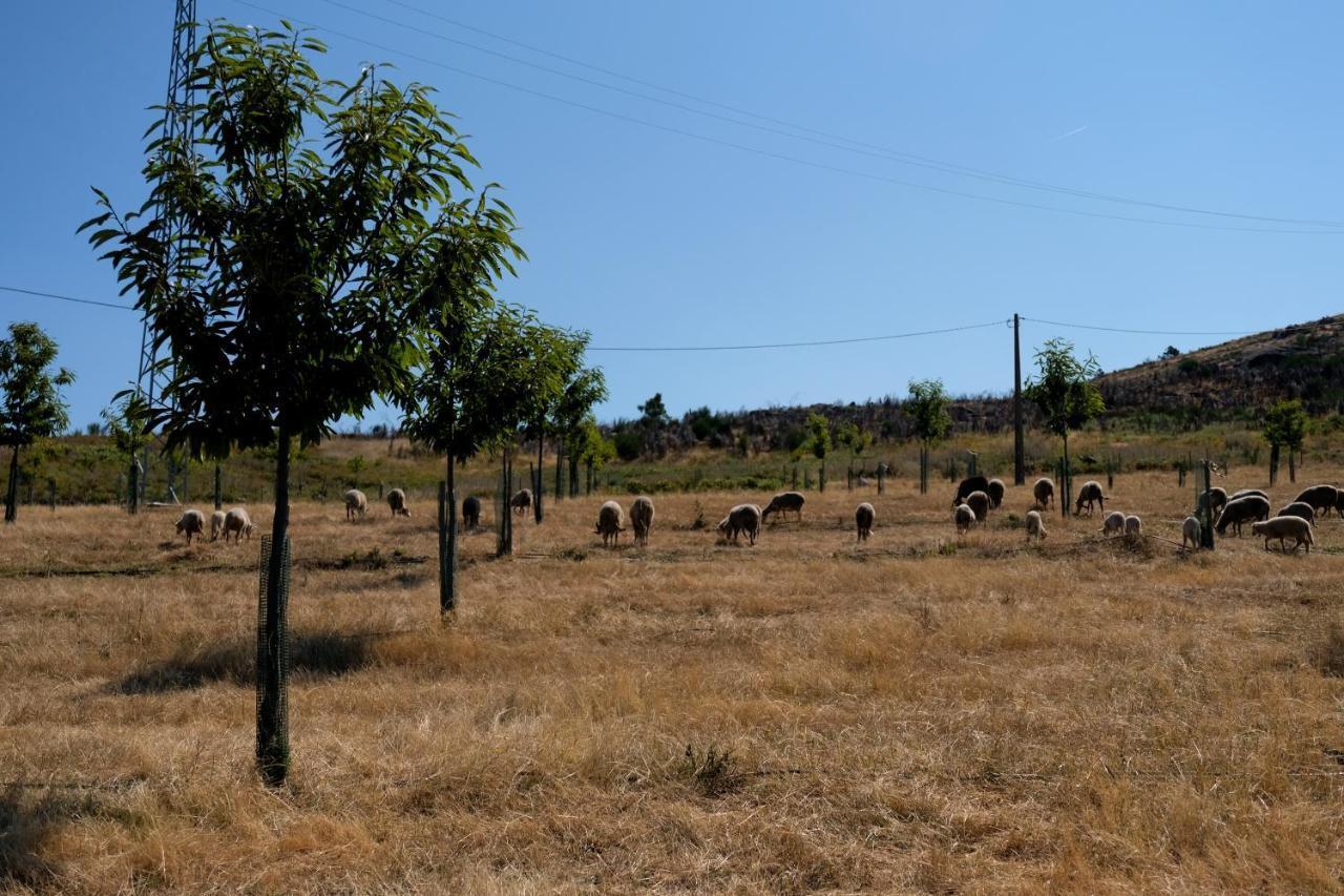 Quinta do Chãozinho Alijó Exterior foto